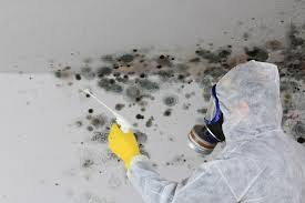 Best Asbestos and Lead Testing During Mold Inspection  in Montrose, PA